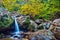 Woodland waterfall and fall foliage