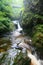 Woodland waterfall and mountain stream