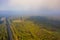 Woodlands growing in rural area covered with mist