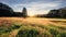 Woodlands, Hills, Sunlit Landscapes, Autumn Leaves, and the Flourishing Splendor of Nature\\\'s Meadow, Prairie, and Grasslands