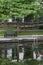 The Woodlands, Texas USA - July 11, 2021: A green bench under a cypress tree on the Waterway.