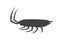 Woodlouse Insect Silhouette