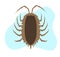 Woodlouse Vector Insect