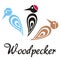 Woodpecker