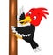 Woodpecker bird cartoon