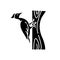 Woodpecker black glyph icon