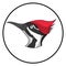Woodpecker Head Cartoon Character Bird Icon