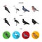 Woodpecker, stork and others. Birds set collection icons in cartoon,black,flat style vector symbol stock illustration