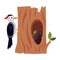 Woodpecker on Tree Trunk and Cute Little Birds in Tree Hollow as Forest Habitant Vector Illustration