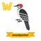 Woodpecker. W letter. Cute children animal alphabet in vector. F