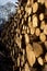 Woodpile