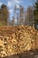 Woodpile