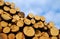 Woodpile