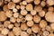 Woodpile of cut trees in the lumberyard