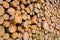 Woodpile - Lumber Industry. Lumber industry - lot of woodpiles.