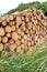 Woodpile - Lumber Industry. Lumber industry - lot of woodpiles.