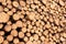 Woodpile - Lumber Industry. Lumber industry - lot of woodpiles.