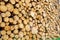 Woodpile - Lumber Industry. Lumber industry - lot of woodpiles.