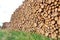 Woodpile - Lumber Industry. Lumber industry - lot of woodpiles.