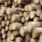 Woodpile, Lumber Industry Texture