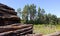 A woodpile of old logs in a woodland area on an overgrown clearing.