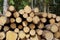 Woodpile From Sawn Pine And Spruce Logs For Forestry Industry