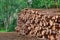 Woodpile From Sawn Pine And Spruce Logs For Forestry Industry