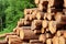 Woodpile From Sawn Pine And Spruce Logs For Forestry Industry