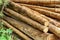 Woodpile From Sawn Pine And Spruce Logs For Forestry Industry