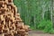 Woodpile From Sawn Pine And Spruce Logs For Forestry Industry