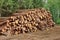 Woodpile From Sawn Pine And Spruce Logs For Forestry Industry