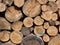 Woodpile of wooden logs