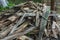 Woodpile of wooden planks. Pile of aged wood bark