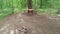 In the woods is a clearing for recreation with a fire pit, lined with red bricks. Near the pine tree are homemade wooden benches a