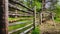 Woods in Karelia. Wooden fence and lots of green. Lovely peaceful countryside.