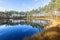 Woods lake with water reflections