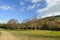 Woods and sky