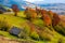 Woodshed on grassy hillside with reddish trees