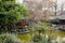 Woody lakeside gazebo in spring afternoon