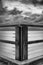 Woody Point Jetty. Black and White.