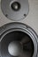 Woofer or bass cone, and tweeter of a high end hi-fi speaker cab