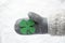 Wool Glove With Green Four Leaf Clover, Snow