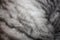 Wool scottish plush marble silver cat