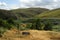 Wooler Common, North Northumberland