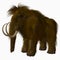 Woolly Mammoth