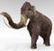 Woolly Mammoth