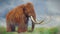 Woolly mammoth, prehistoric mammal in foggy landscape