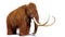 Woolly mammoth, prehistoric mammal isolated with shadow on white background