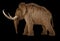 Woolly mammoth realistic 3d illustration viewed from a side