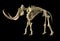 Woolly mammoth skeleton, realistic 3d illustration, side view